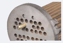 ph 1piece plug